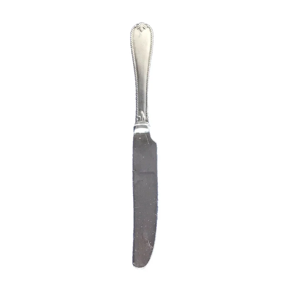 Dinner Knife : Lenox Tudor Bead Stainless Rope Edge Glossy Stainless 9 1/4”